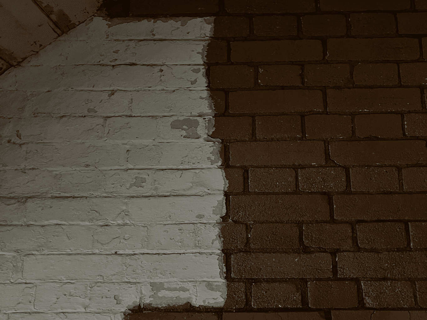 Brick Cleaning